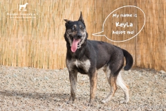 Keyla IMG_1030-960