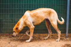 11225179_1682338328664590_340687088743242447_o