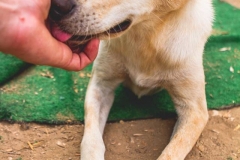 12049419_1682338375331252_3300782752580080447_n