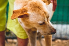 12091421_1682338265331263_5970262241845045622_o