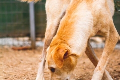 12108817_1682338271997929_7776896094874839991_n