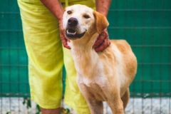 12120127_1682338211997935_6723712736117746880_o