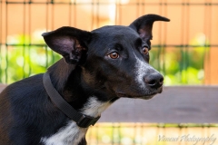 12717962_1728440294054393_3962049524429115568_n