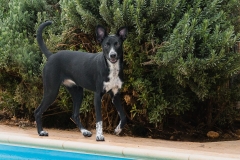 12806063_1728440337387722_7597049494422506369_n