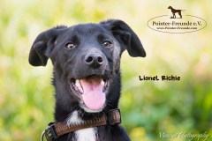 Lionel Richie IMG_3027-960