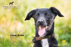 Lionel Richie IMG_3029-960