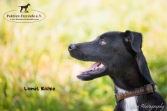 Lionel Richie IMG_3033-960