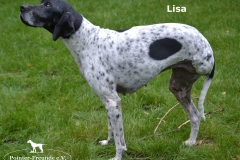 Lisa1a
