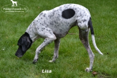 Lisa1b