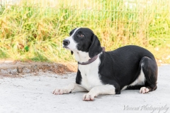 10254043_1727251680839921_8375118020634605381_n