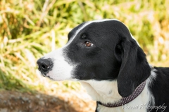 12742852_1727251674173255_7893812903072904213_n