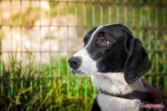 12745942_1727251717506584_8891704290400639226_n