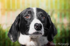 621_1727251704173252_1421679532956688805_n