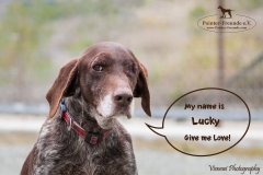 Lucky IMG_0012-960