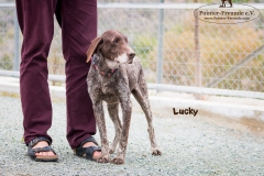 Lucky IMG_0041-960