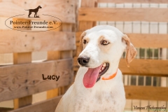 Lucy IMG_8682-960