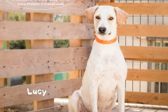 Lucy IMG_8695-960