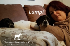 Lumpimitlogo