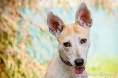 10154149_1728934800671609_3548680742378394404_n