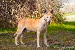 12122716_1728934897338266_2231744935149227060_n