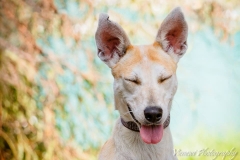 12495237_1728934814004941_6037941163448130379_n