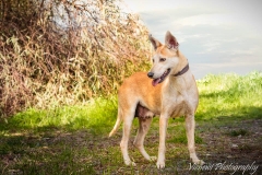 12794450_1728934864004936_589288669600983773_n