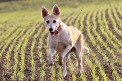 14682048_1171861239575027_1007519031549874111_o