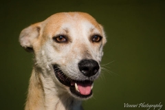 2767_1706794406218982_6746358552296462409_n