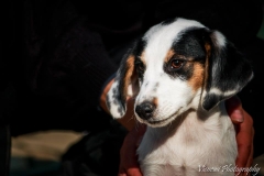 10002_1708041249427631_5819627784564306811_n