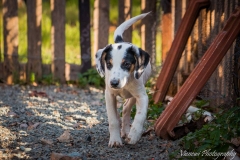 10393_1708041309427625_6122008250245122556_n