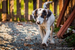 1150217_1708041302760959_1783589278709811805_n