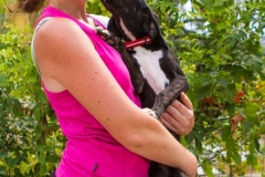 12118804_1689702384594851_4020262269004098530_n