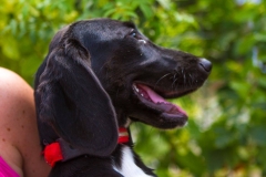 12189232_1689702377928185_7637718432041912447_o