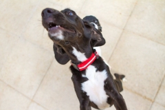 12191288_1689702614594828_4212208503026414471_o