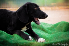 12345581_1702056776692745_5305436179295720888_n