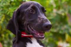 887577_1689702337928189_5243919700864546845_o