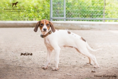 Melina IMG_0206-960