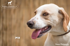 Mia IMG_0068-960