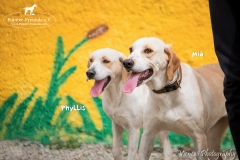 Phyllis and Mia IMG_0115-960