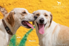 Phyllis and Mia IMG_0273-960