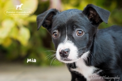 Mia IMG_3617-960