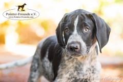 Michelle-IMG_8735-960