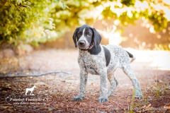 Michelle-IMG_8737-960