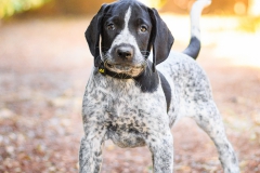 Michelle-IMG_8745-960