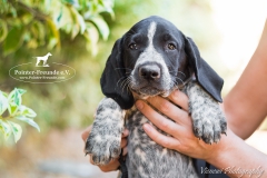 Michelle-IMG_8759-960