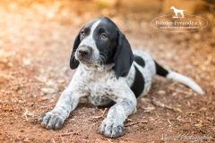 Michelle-IMG_8771-960