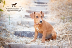 13680679_1793808580850897_7707963982859507477_n