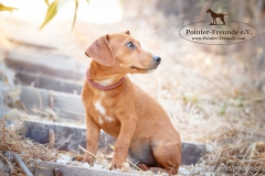 13876660_1793808554184233_8843883538340295232_n