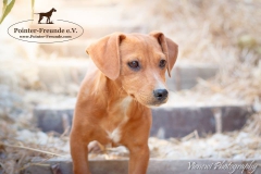 13902763_1793808567517565_4175312857542870009_n