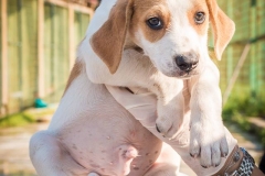 12572993_1714178108813945_5004914428589740657_n